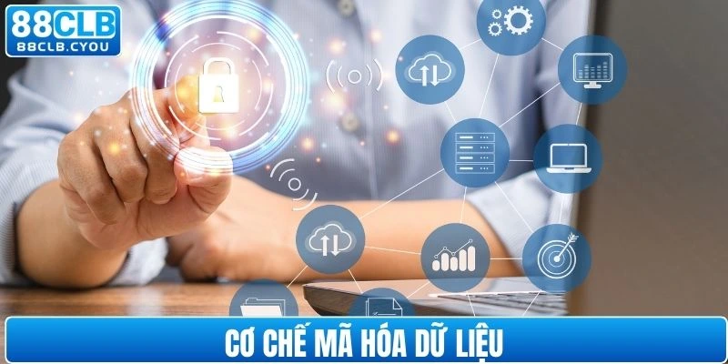 Mã hóa tối đa toàn bộ thông tin của người dùng