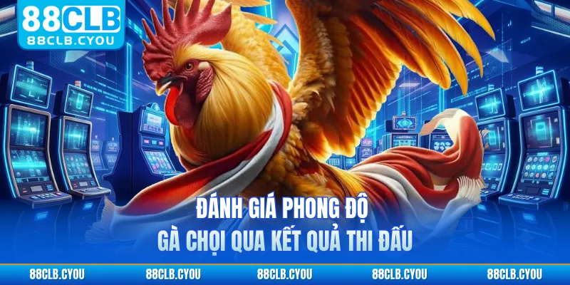 Đánh giá phong độ gà chọi qua kết quả thi đấu