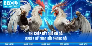 Ghi Chép Kết Quả Đá Gà 88CLB Để Theo Dõi Phong Độ