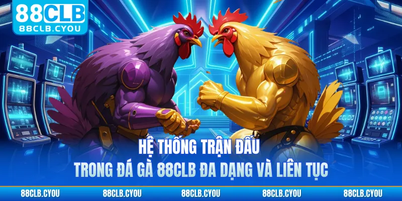 Hệ thống trận đấu trong đá gà 88CLB đa dạng và liên tục