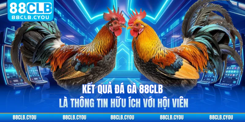 Kết quả đá gà 88CLB là thông tin hữu ích với hội viên