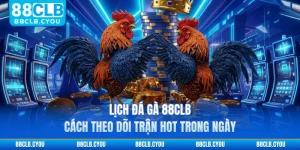 Lịch Đá Gà 88CLB - Cách Theo Dõi Trận Hot Trong Ngày