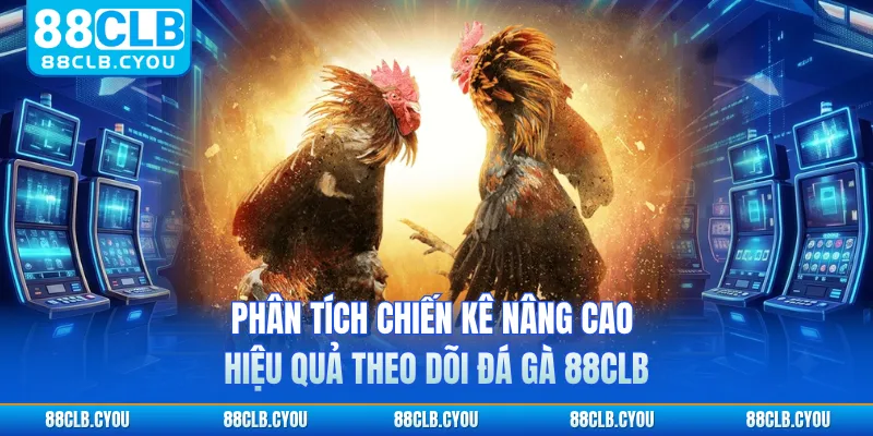 Phân tích chiến kê nâng cao hiệu quả theo dõi đá gà 88CLB