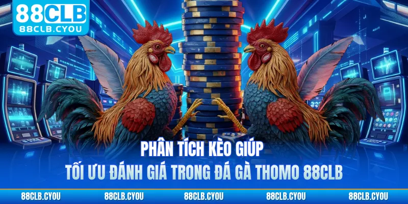 Phân tích kèo giúp tối ưu đánh giá trong đá gà Thomo 88CLB